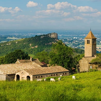 Escapade Nature au cœur du Grand Site de France Solutré Pouilly Vergisson