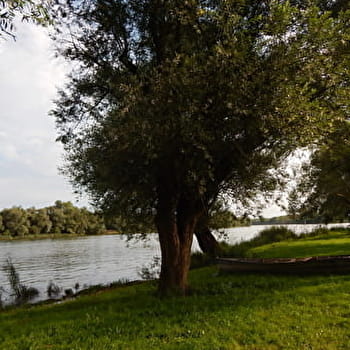 Autour de la Voie Verte - La Prairie du Val de Saône - Boucle 6.3 - BELLEVILLE-EN-BEAUJOLAIS