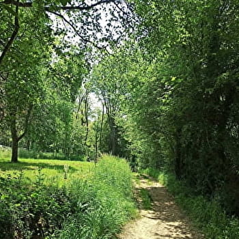 Le tour des Brosses - AMBERIEU-EN-BUGEY
