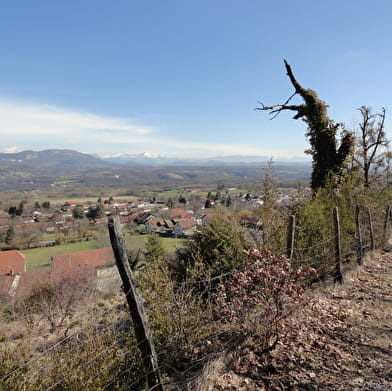 Circuit de la Michaille