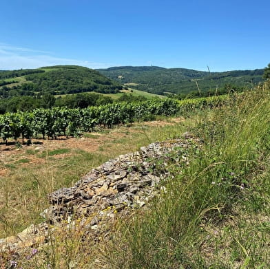 Le Val d'Azé, entre vignes et bocages