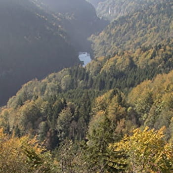 La fête de la Roche aux Chevaux -