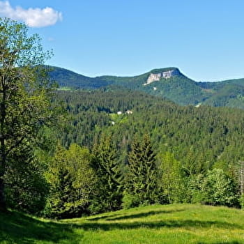 Tour du Goulet - 20B - PREMANON