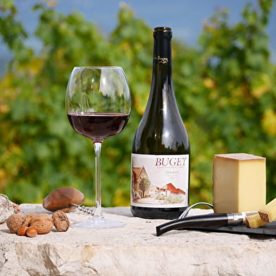 Circuit vélo : Vignobles du Bugey