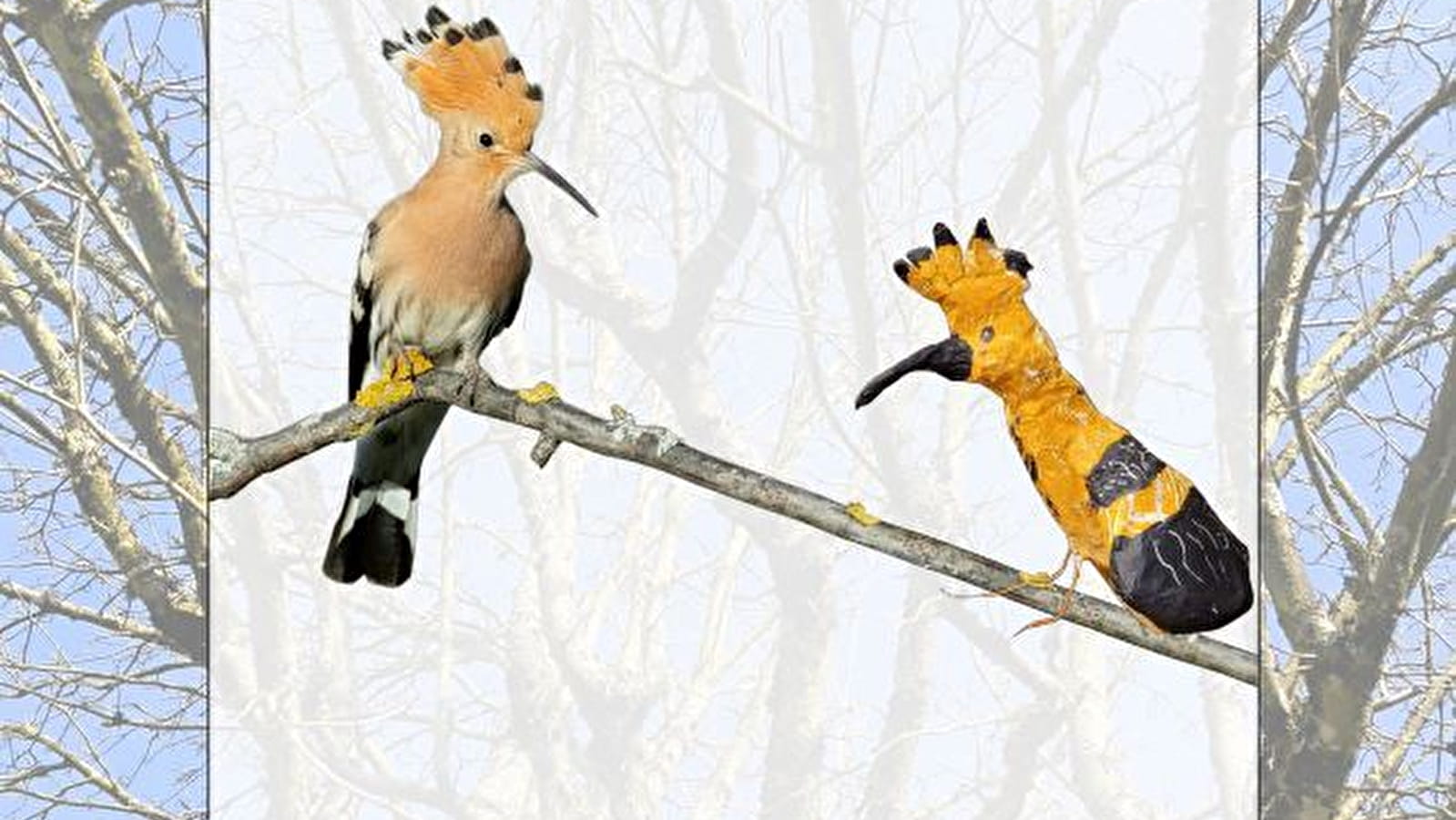 Ornithologie : croquis, gravure, sculpture