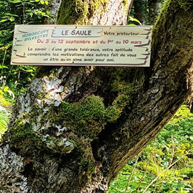 Sur le sentier des Arts : l'horoscope sylvestre