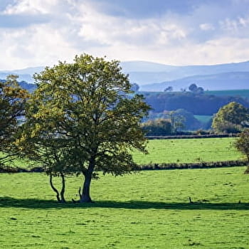 Les Chemins de Collonge - COLLONGE-LA-MADELEINE