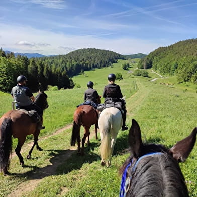 Circuit équestre des Montagnes du Haut-Jura