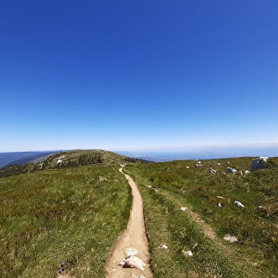 Randonnée itinérante : Mijoux -Chézery-Forens par la Haute Chaîne du Jura