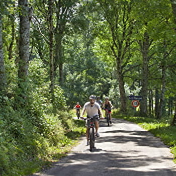 Parcours VTT - Liaison GTJ / gare de Bellegarde - GIRON
