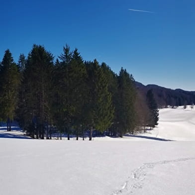 Itinéraire Raquettes du site de Lachat 'Le Golet Sapin'