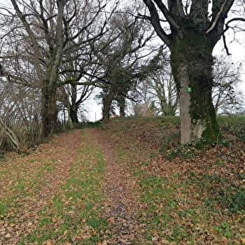Sur les chemins de St Didier d'Aussiat (Version courte) - SAINT-DIDIER-D'AUSSIAT