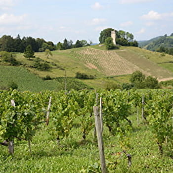 Sentier 'Breignes - Mérignat' à Poncin - PONCIN