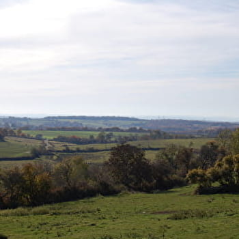 Entre colonne et moulin - CUSSY-LA-COLONNE