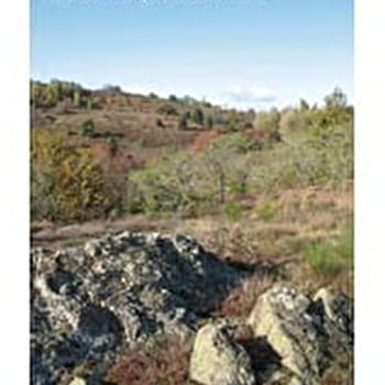 La lande de la Chaume - LE CREUSOT