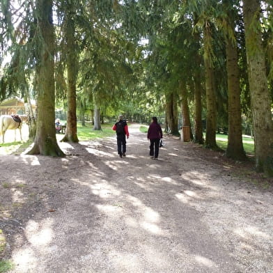 Circuits de randonnée pédestre de la forêt de Rothonne