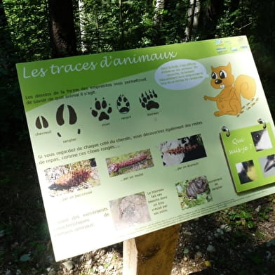 Balade - Les voiles du Landeyron