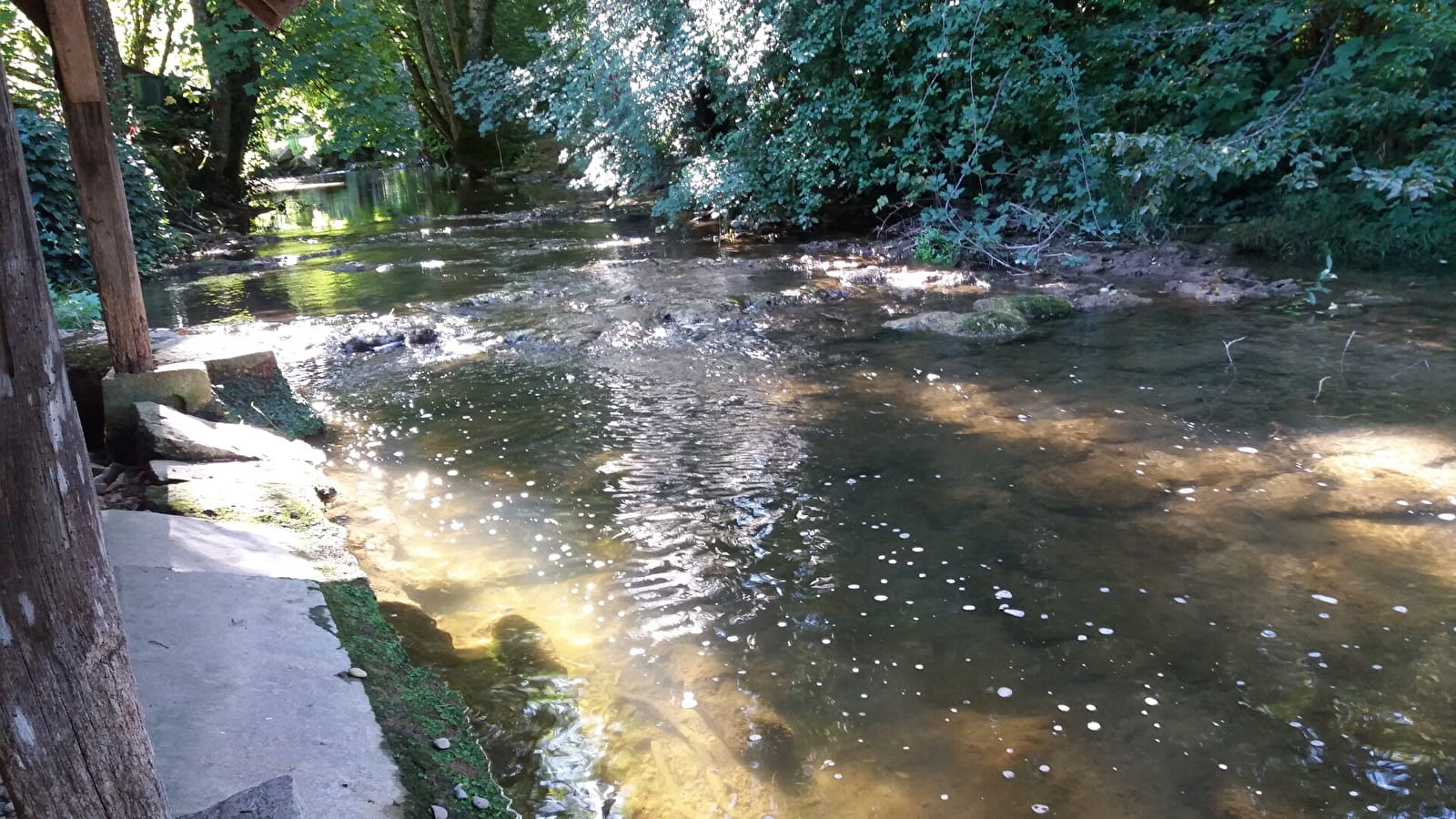 Mini stages 'bien être' créatifs en sculpture- Bligny sur Ouche