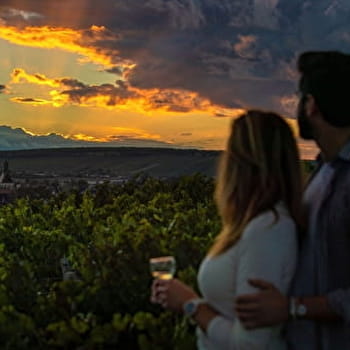 Route gourmande des vignobles de l'Yonne et du Châtillonnais - CHATILLON-SUR-SEINE