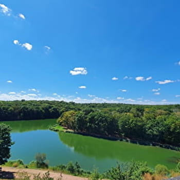 Panorama depuis le terril de charbon de l'étang Grenetier - 