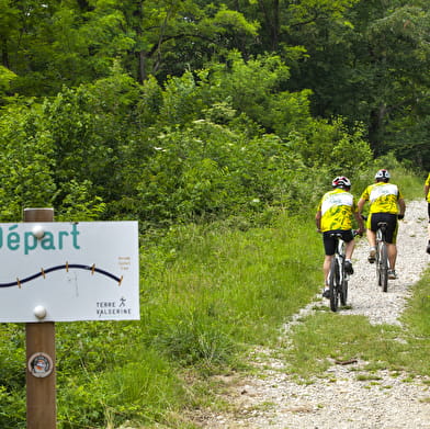 Parcours VTT 22 bleu - La Voie du Tram - Espace FFC Ain Forestière