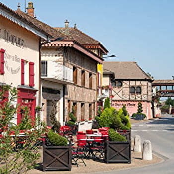 Itinérance L'Ain à Vélo - Au pays de la volaille de Bresse (1 à 2 jours) - ATTIGNAT