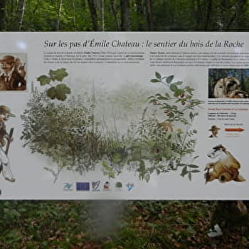 Le Bois de la Roche - SALORNAY-SUR-GUYE