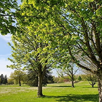 Circuit parcs et jardins de Paray-le-Monial - PARAY-LE-MONIAL