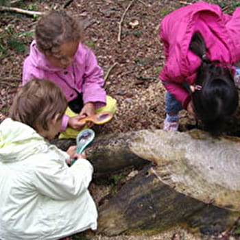 Animation famille : relève les indices laissés par les trésors de la nature -