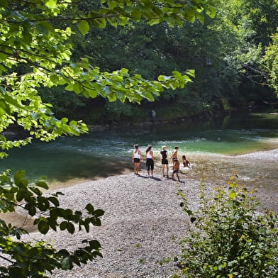 Parcours VTT 23 rouge - Pertes de la Valserine - Espace FFC Ain Forestière