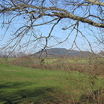 Entre étang et rivière - THIL-SUR-ARROUX