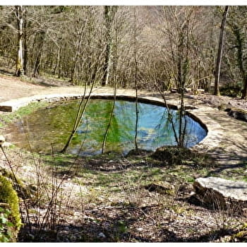Boucle du Lézard Vert - VAL-SUZON