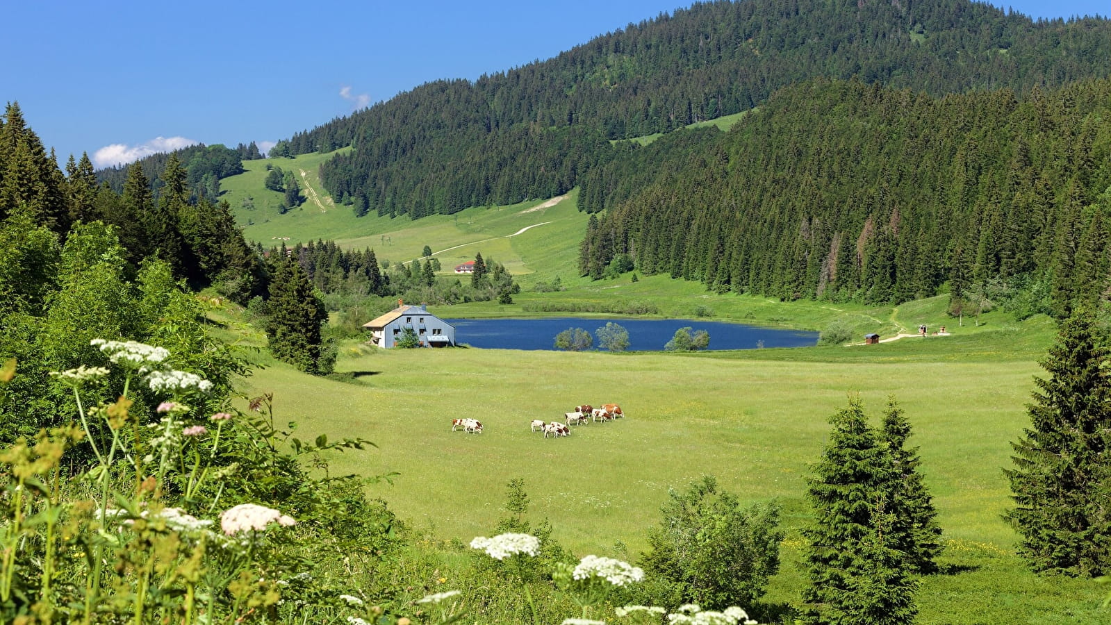 Boucle 9 : Lac de Lamoura-Valserine