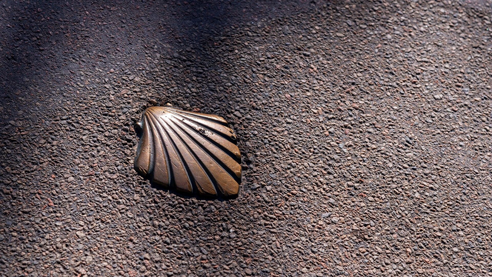 V56 - Saint-Jacques à vélo