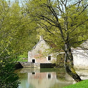 Entre canal et Armançon - BUFFON