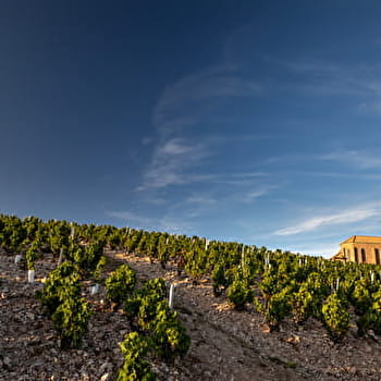 Circuit Entre vignes et bois - FLEURIE