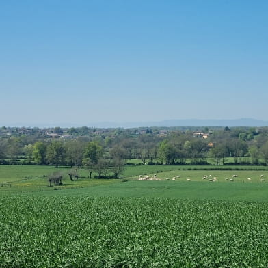 Circuit VTT-VTC n°14 (rouge) - Hauts de la vallée de la Reyssouze