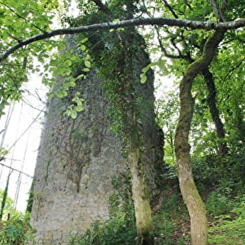 Eglise de St Maurice d'Echazeaux - Ruines de Mt-Didier - CORVEISSIAT