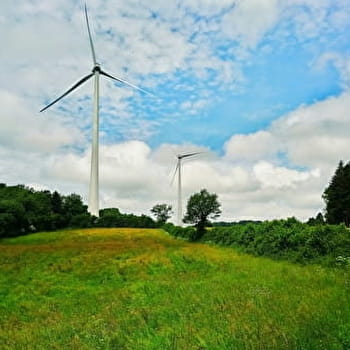 Un pique-nique au milieu des éoliennes - 