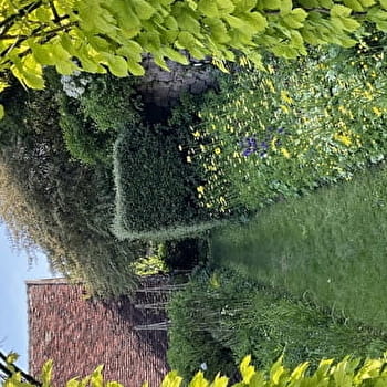 Rendez-vous aux jardins : jardin des Clématites - SEMUR-EN-AUXOIS