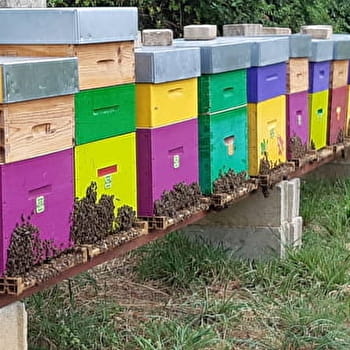 Le Rucher de Pascale - CHATILLON-LE-DUC