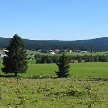 Chez Michel ou la Tourbière - CHAPELLE-DES-BOIS