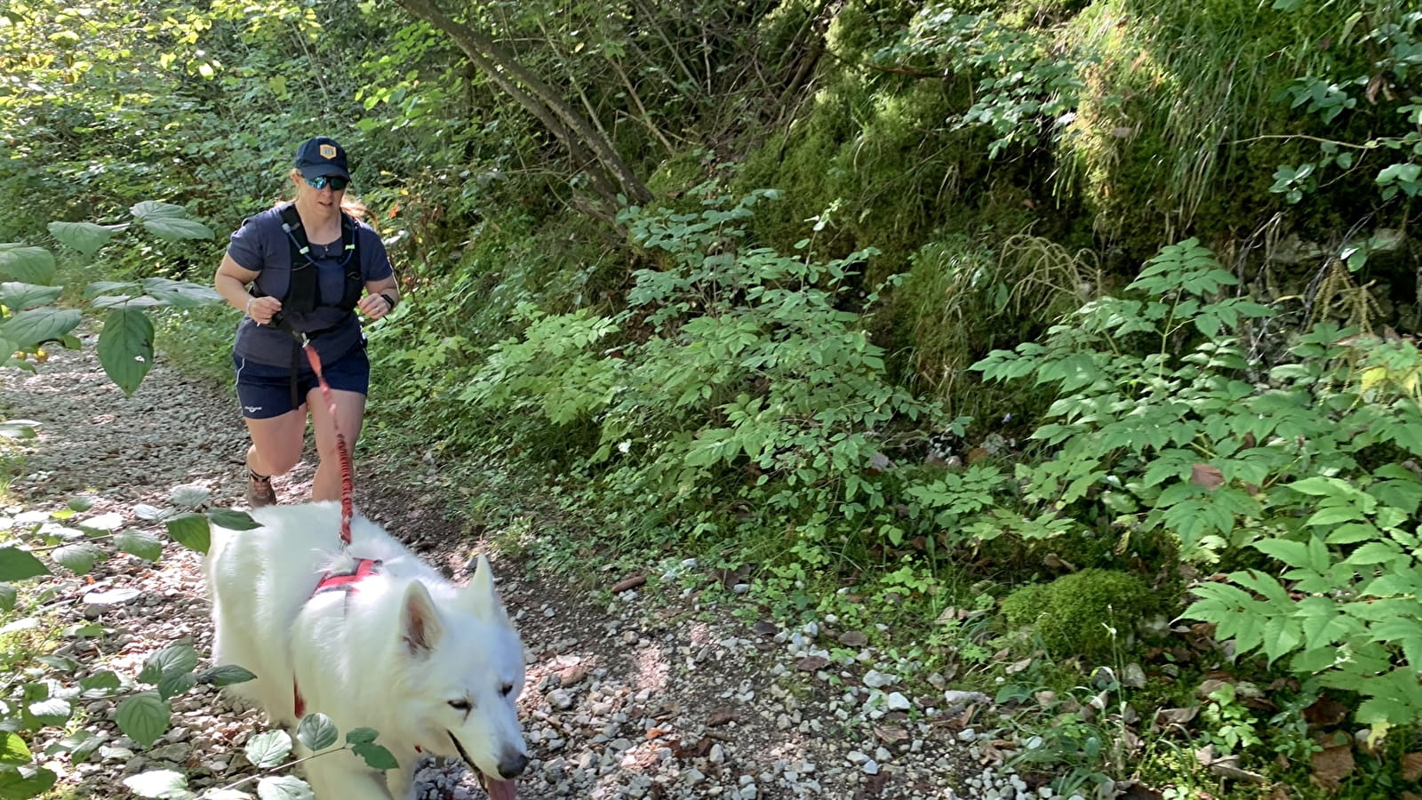 Parcours initiation Cani'trail de Nantua