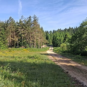 Le Laveron - n° 93 - SAINTE-COLOMBE