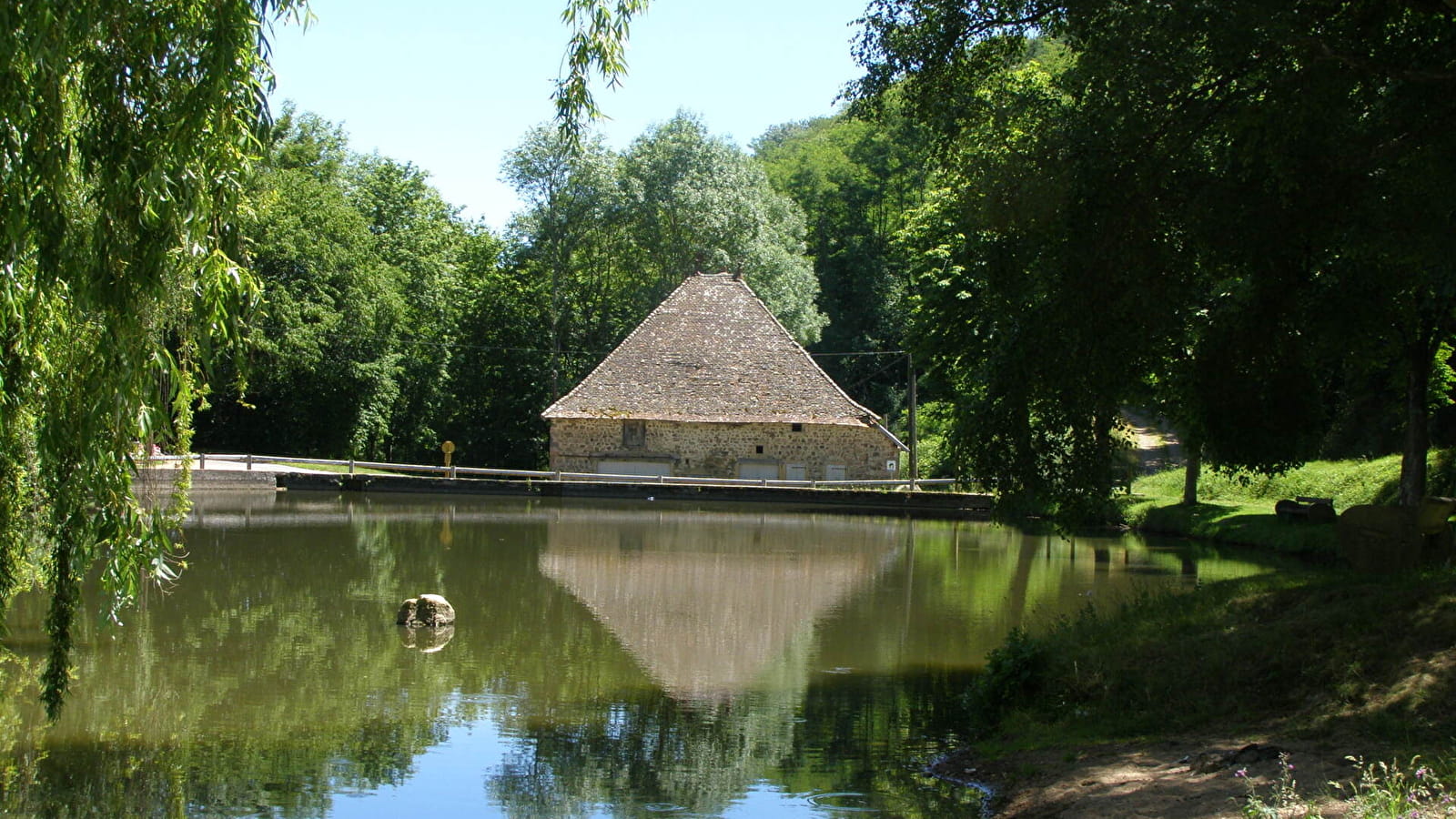 Circuit Feuille de Houx