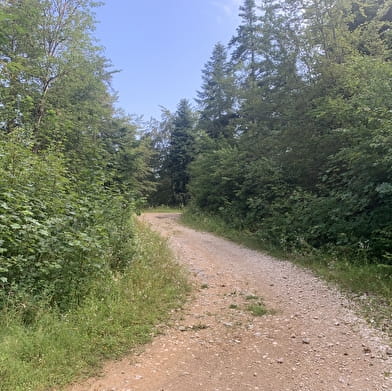 Randonnée - Le sentier du Macretet