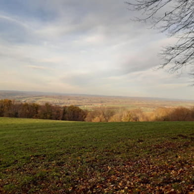 Les hauts de Divicius / Bornes royales