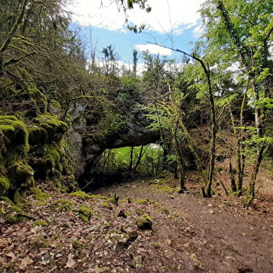 Découverte de Larnod