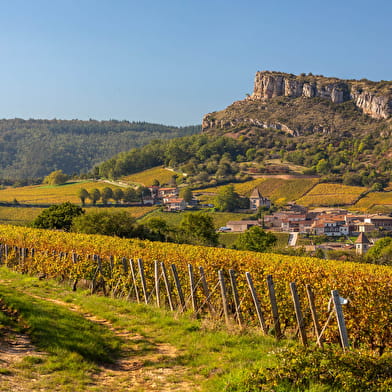 Circuit coup de cœur - Paysages de vignes 