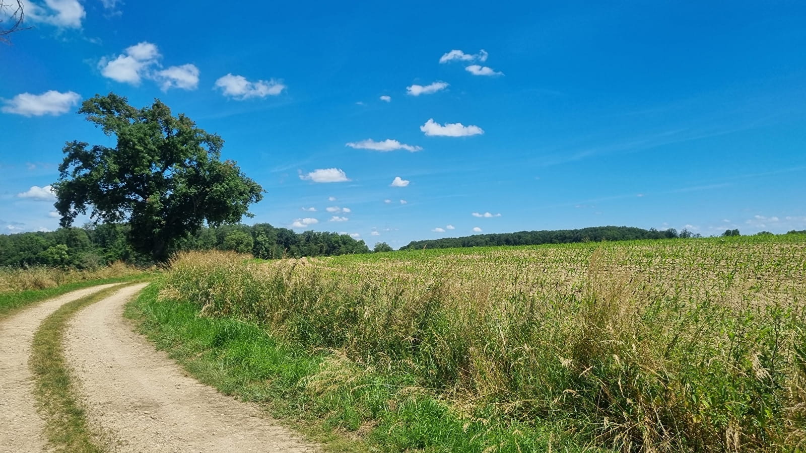 Circuit VTTAE n°13 (rouge) - Les chemins de St Jean